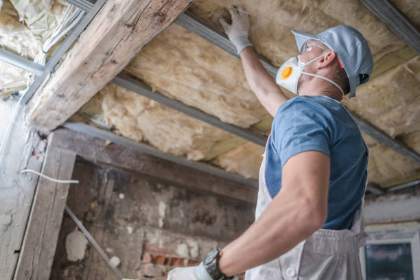 Best Blown-in Insulation  in Biscayne Park, FL